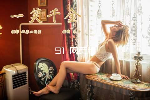 91 网页版